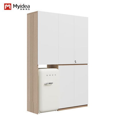 Acquistare Supporto personalizzazione Armadio moderno per camera da letto con ampio spazio di archiviazione e bastone appeso Mobili in legno semplici Eseguibile montaggio online manufacture