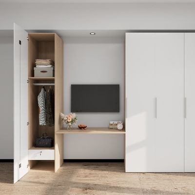 Acquistare Arredamento per la camera da letto moderno e di design semplice Armadio in metallo con bastone appeso Ampi spazi di stoccaggio online manufacture