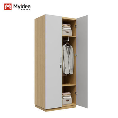 Acquistare Supporto personalizzazione Moderno Disegno Semplice Armadio da letto in acciaio metallo con bastoncino appeso Ampio spazio di archiviazione Arredamento per la casa per il soggiorno dell'hotel online manufacture