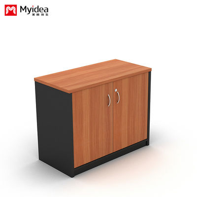 Wall Mounted Low Cabinet Large Capacity Filing Cabinet with Key Lock Double Door Customizable Classified Storage IP40 Rating
