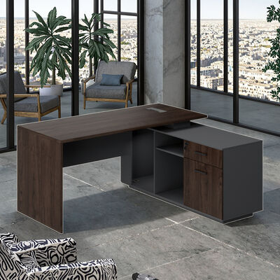 Executive Computer Desk Storage Cabinet Modern Wooden Panel Design Durable Eco-Friendly Construction Assembly Required
