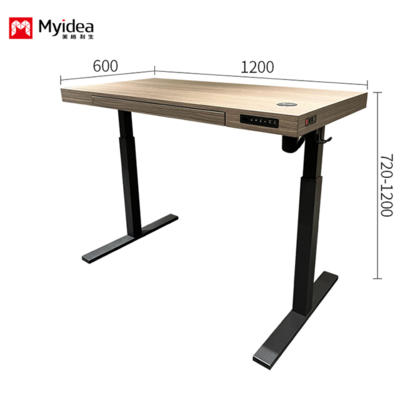 Scrivania Executive Semplice e Confortevole, Scrivania Alzabile con Motore Singolo Silenzioso, Scrivania dal Design Stabile e Multifunzionale per Uso Ufficio
